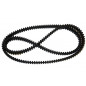 Toothed Belt Pirelli, Bieffebi / Gianni Ferrari - 00111980003