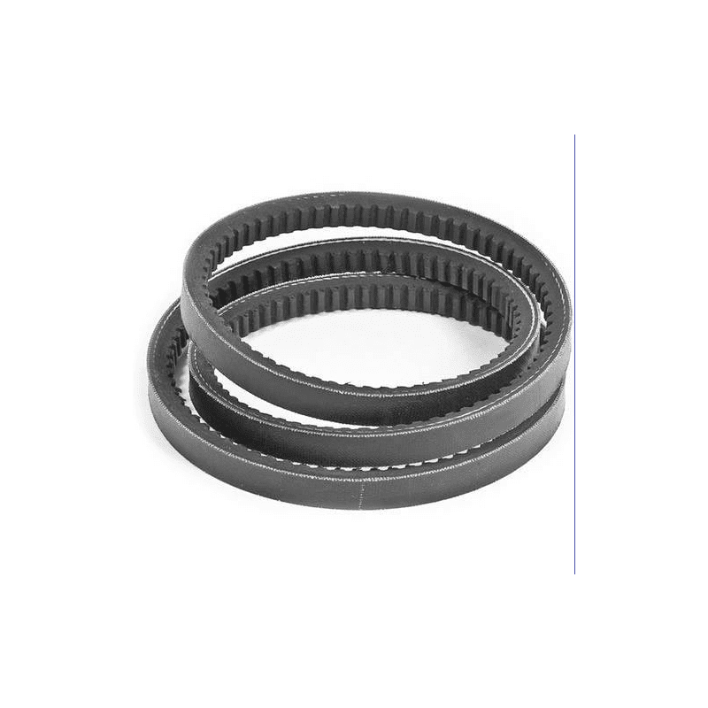 Correa de transmisión para trituradora Del Morino 42800014 Centurion Super, Flipper 158, 186, 214,
