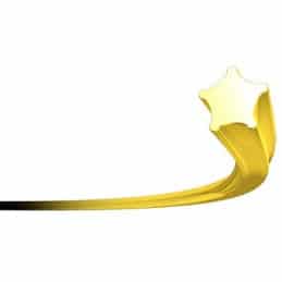 Fil pour débroussailleuse Nylium Starline étoile jaune 2 mm, rouleau de 15 m - OREGON 99152E