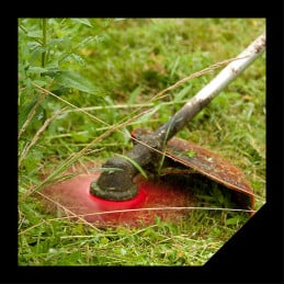 Cuchilla para desbrozadora Ø 300 mm 2 dientes 3 mm - Oregon 295504-0 - OREGON - Cuchilla para desbrozadora - Jardinaffaires 