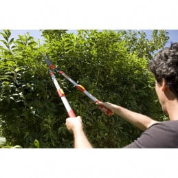 Tesouras para sebes telescópicas OH75T Wolf Tools - OUTILS WOLF - Hedge shears - Garden Business 