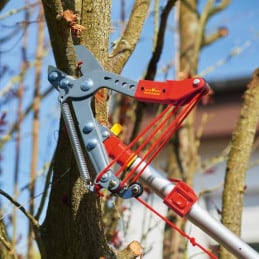 Echenilloir orientable, ORVM2 multi-star Outils WOLF - OUTILS WOLF - Tailler et Couper - Jardin Affaires 