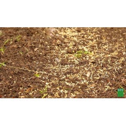 Gazon premium spécial robot GPSR25  BHS - BHS - Semence - Jardin Affaires