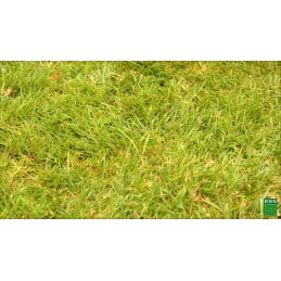 Gazon premium spécial robot GPSR25  BHS - BHS - Semence - Jardin Affaires
