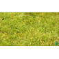 Premium gazon speciaal voor robots GPSR25 BHS Premium gazon speciaal voor robots GPSR25 BHS