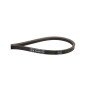 Cinghia per cambio MTD 754-04176A - Lungh. est. 95 cm