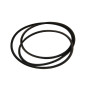 Correa MTD 754-04296 - Long. ext. 152,4 cm