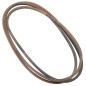 Riem MTD 754-04325 - Buitenlengte 317,5 cm