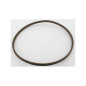 Correa MTD 754-0436 - Long. ext. 71 cm