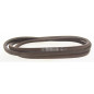 Riem MTD 754-0474 - Buitenlengte 256,5 cm