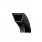 Cinto MTD 754-0441 - Longo. ramal. 193cm Cinto MTD 754-0441 - Longo. ramal. 193cm