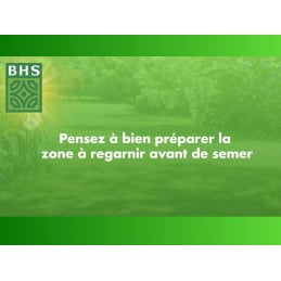 Gazon regarnissage express 4 saisons BHS 1kg 50m² - BHS - Entretenir le jardin - Jardin Affaires 