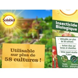 Insetticida biologico Solabiol 25g - Solabiol - Mantieni il giardino - Jardinaffaires