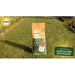 Fertilizante orgânico profissional para gramado Solabiol 10KG - Solabiol - Manutenção do jardim - Jardinaffaires