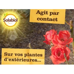 Pucerons prêt à l'emploi Solabiol SOPUFPAL750 750ML - Solabiol - Entretenir le jardin - Jardin Affaires 