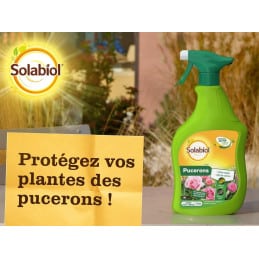 Gebrauchsfertige Blattläuse Solabiol SOPUFPAL750 750ML - Solabiol - Den Garten pflegen - Jardinaffaires
