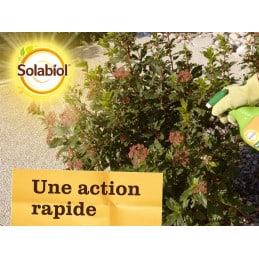 Afidi pronti all'uso Solabiol SOPUFPAL750 750ML - Solabiol - Mantenere il giardino - Jardinaffaires