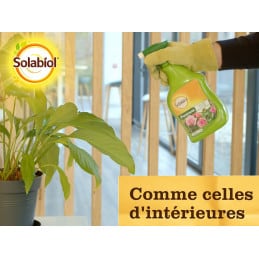 Pulgones listos para usar Solabiol SOPUFPAL750 750ML - Solabiol - Mantenimiento del jardín - Jardinaffaires