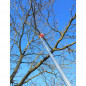 Telescopische aluminium snoeizaag WOLF Powercut OS4000 - 4m Telescopische aluminium snoeizaag WOLF Powercut OS4000 - 4m