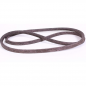 Drive Belt 75404043B