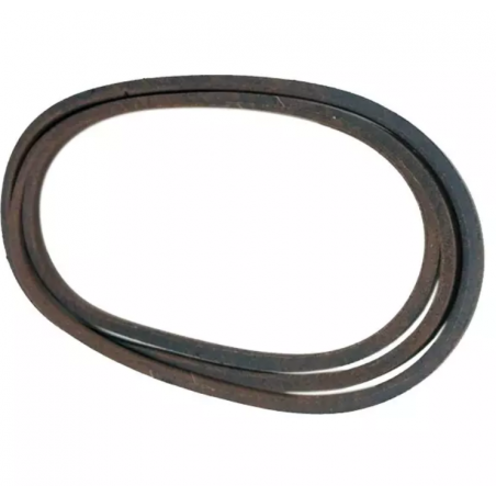 Correa del variador de la caja de cambios