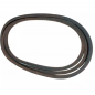 Gearbox/Transmission variator belt 75404033A