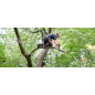 ECHO DCS-2500T/C1 Battery Pruning Saw + 1 Battery included + 1 FREE Battery + 1 Charger ECHO DCS-2500T/C1 Battery Pruning Saw + 1 Battery included + 1 FREE Battery + 1 Charger