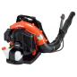 ECHO thermal backpack blower - PB-580 ECHO thermal backpack blower - PB-580