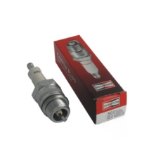 Candela Champion D21