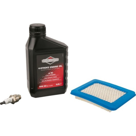 Kit manutenzione motore Briggs e Stratton