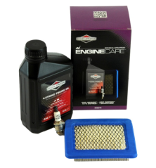 Kit manutenzione motore Briggs e Stratton 2