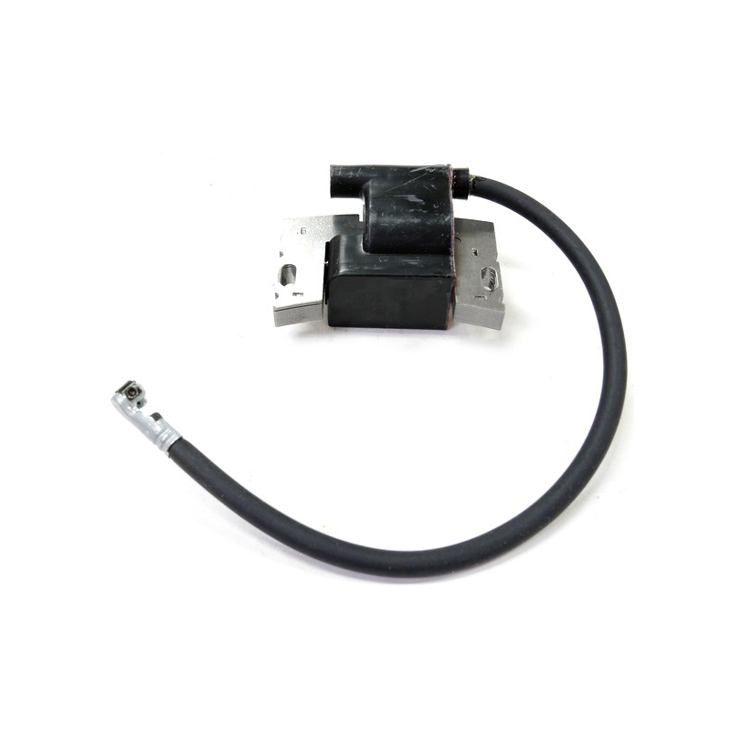 Vergaser für Briggs & Stratton-Motoren - 498170