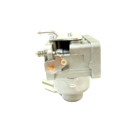 Carburateur moteur Briggs et Stratton - 791230