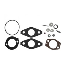 Kit joint carburateur Briggs Stratton 2