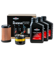 Kit de manutenção do motor Briggs Stratton