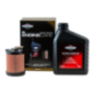 Kit de mantenimiento del motor Briggs and Stratton - 992242