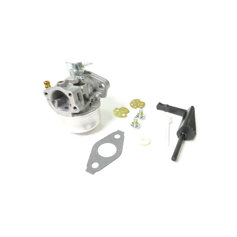 Carburador de motor Briggs and Stratton 190cc - 798653