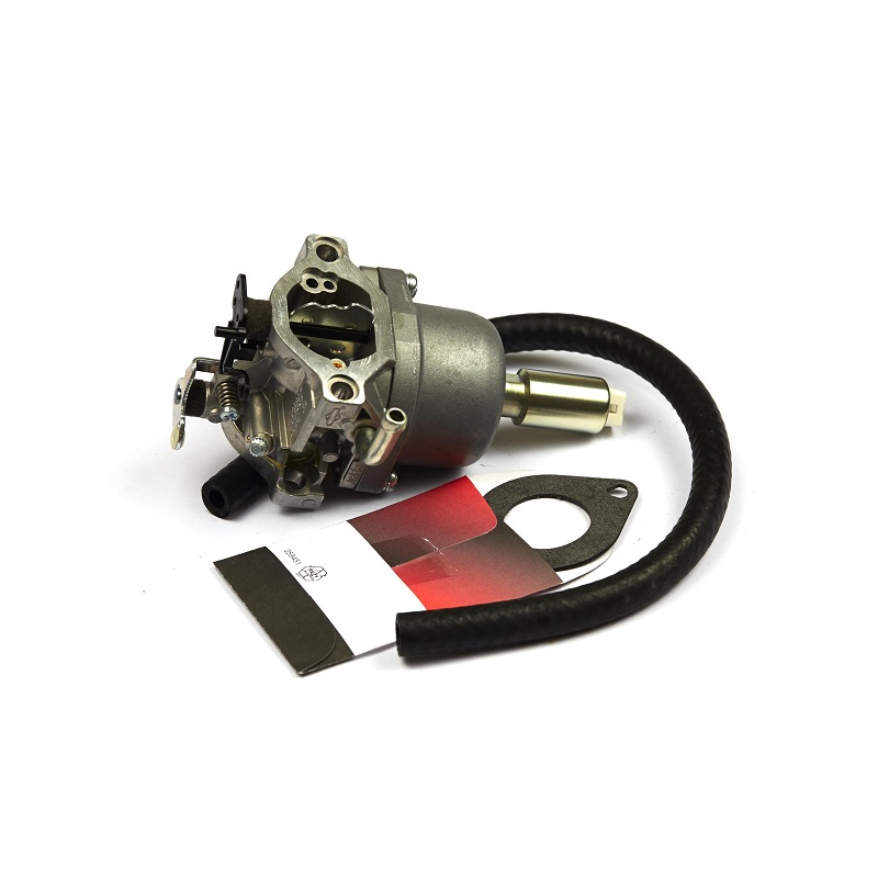 Carburateur moteur Briggs et Stratton - 590400