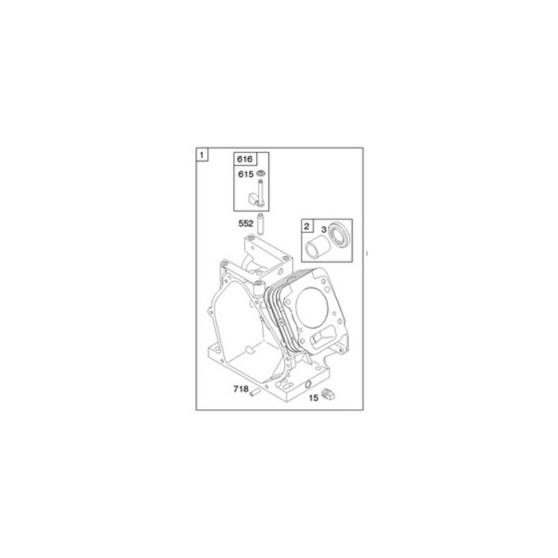 Briggs & Stratton-Motorzylinder – 794188