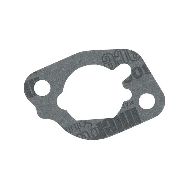 Luchtfilterpakking voor Briggs en Stratton motor - 590605