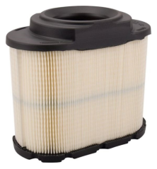 Filtro de aire Briggs & Stratton