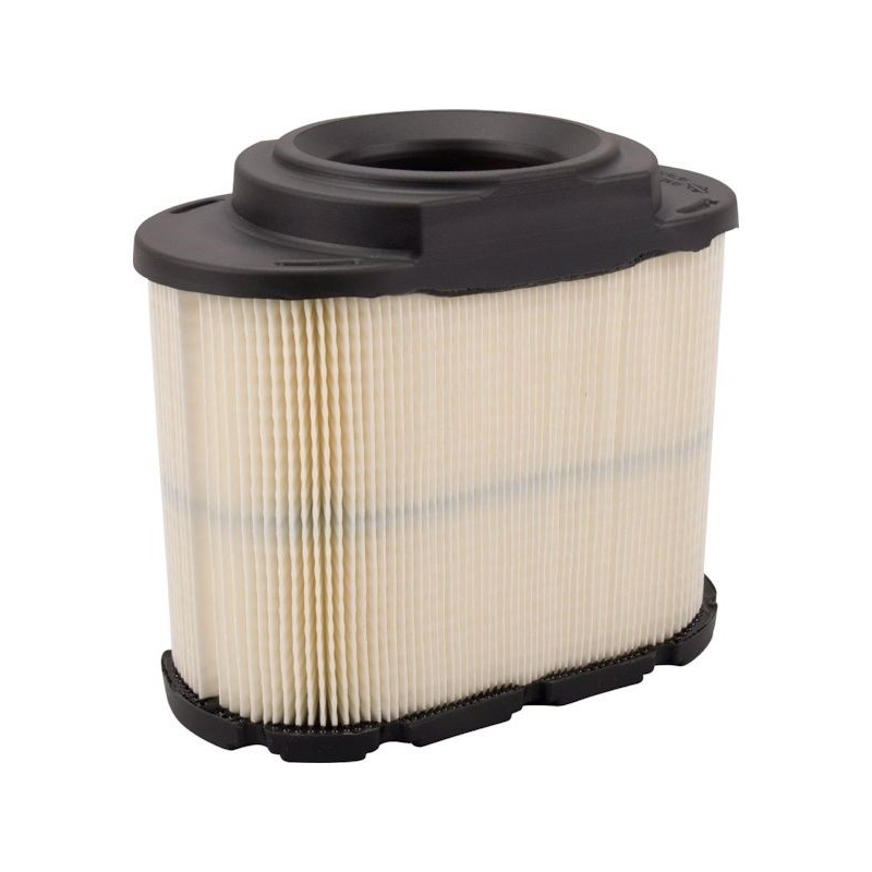 Luftfilter Briggs und Stratton - 593240