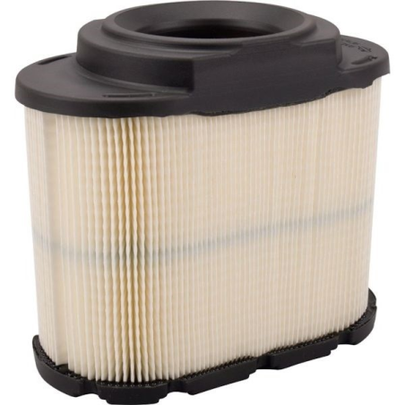 Filtro de aire Briggs y Stratton - 593240