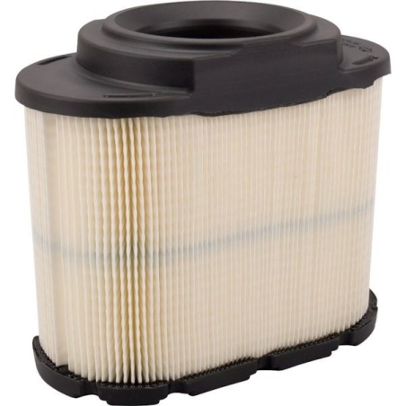 Briggs & Stratton-Luftfilter