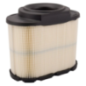 Luftfilter Briggs und Stratton - 593240