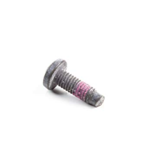 Briggs and Stratton carburetor mounting screw