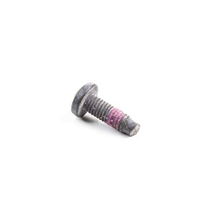 Vite di montaggio del carburatore Briggs e Stratton