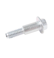 Briggs and Stratton engine crankcase screw