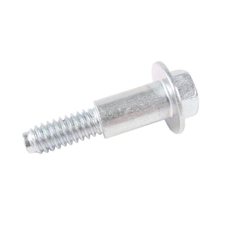 Briggs and Stratton engine crankcase screw