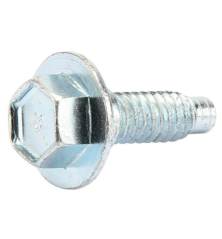 Briggs and Stratton engine crankcase screw